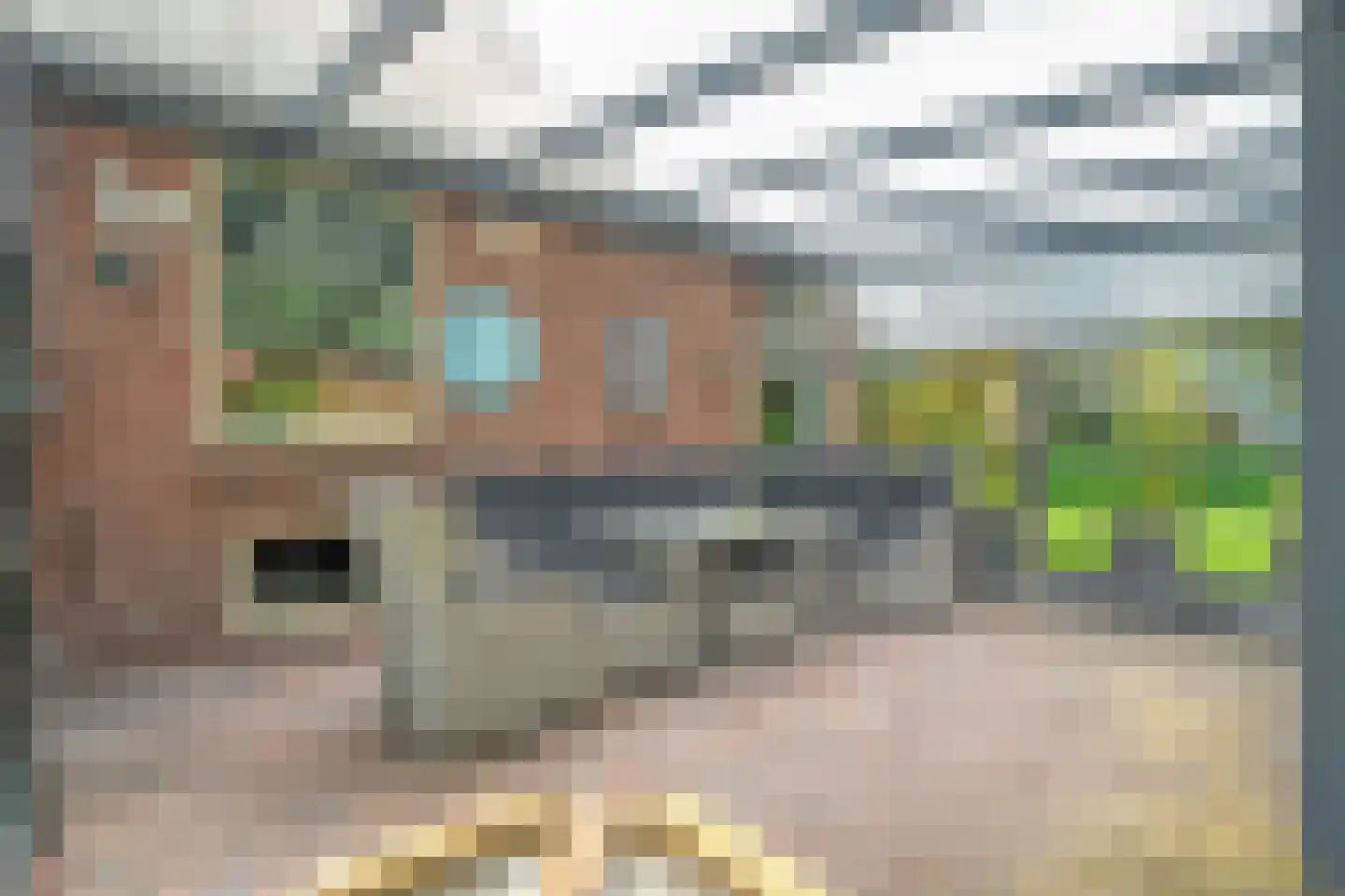 Westvierdeparten 19 Steggerda thumbnail 59