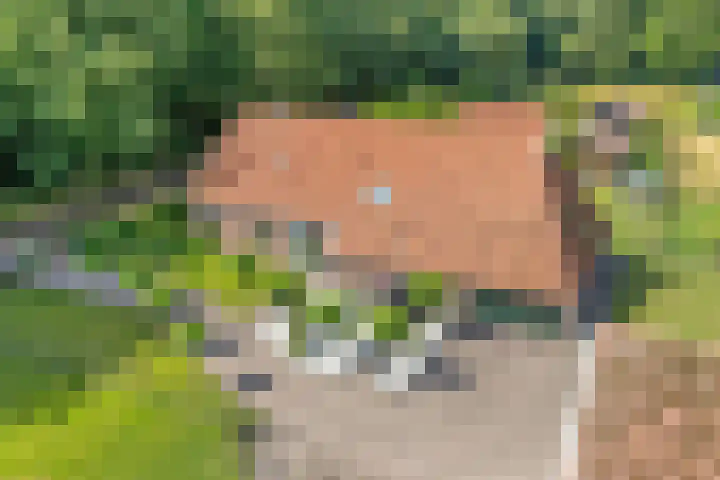 Westvierdeparten 19 Steggerda thumbnail 6
