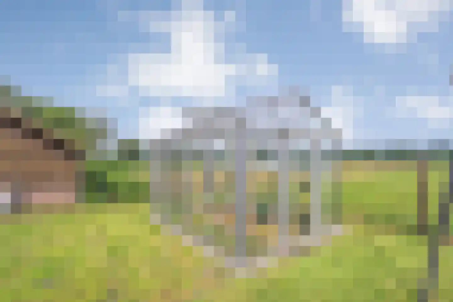 Westvierdeparten 19 Steggerda thumbnail 62