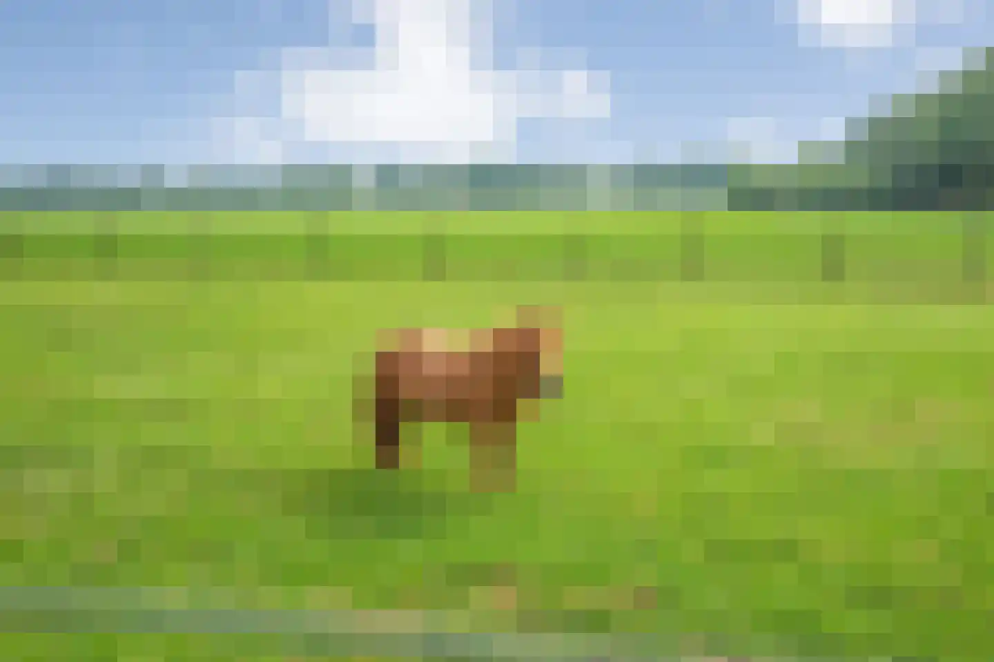 Westvierdeparten 19 Steggerda thumbnail 67
