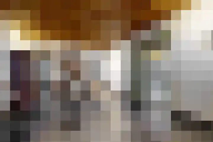 Westvoorstraat 1 Dinteloord thumbnail 11
