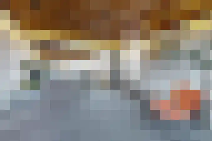 Westvoorstraat 1 Dinteloord thumbnail 13
