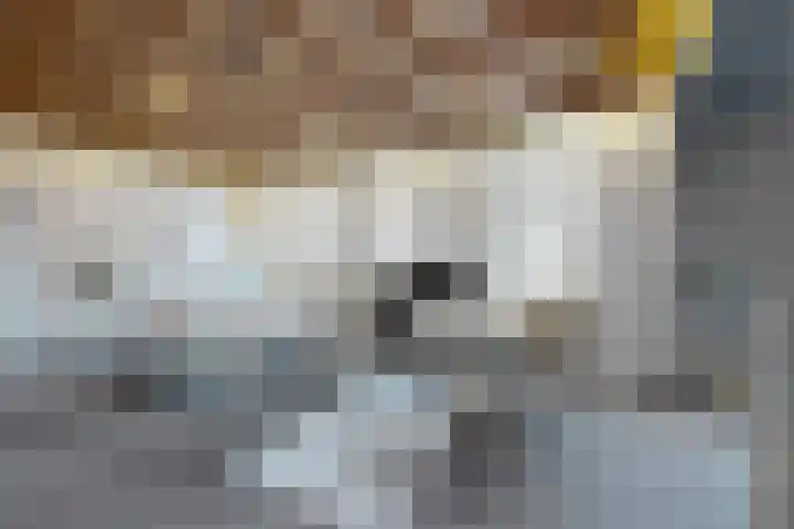 Westvoorstraat 1 Dinteloord thumbnail 15