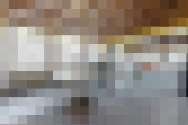 Westvoorstraat 1 Dinteloord thumbnail 17