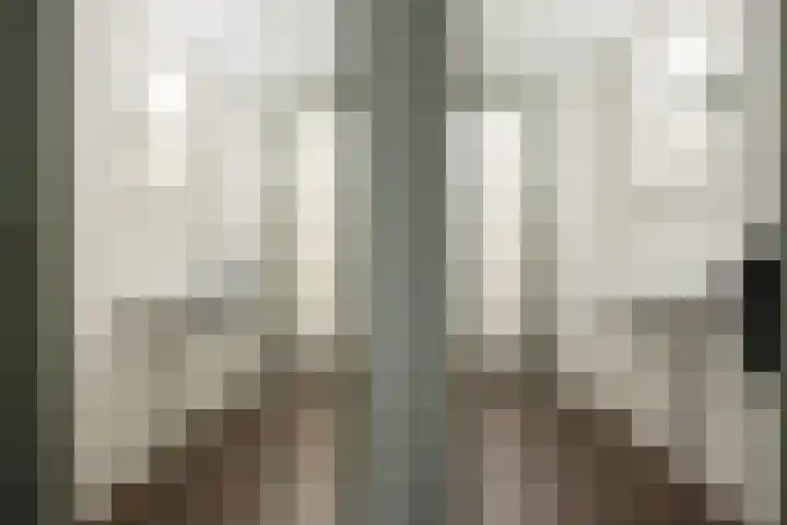 Westvoorstraat 1 Dinteloord thumbnail 21