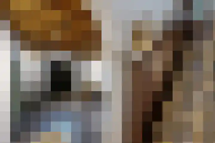 Westvoorstraat 1 Dinteloord thumbnail 25
