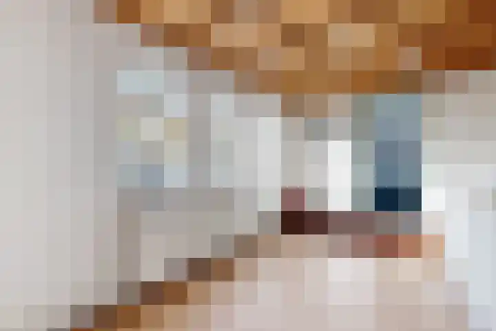 Westvoorstraat 1 Dinteloord thumbnail 27