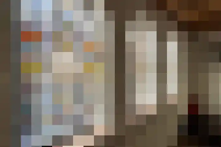 Westvoorstraat 1 Dinteloord thumbnail 30