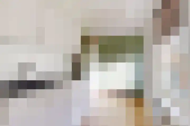 Westvoorstraat 1 Dinteloord thumbnail 47
