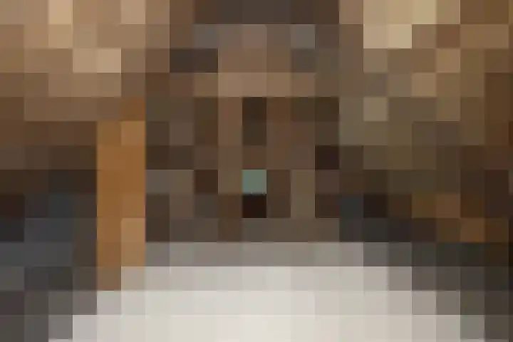 Westvoorstraat 1 Dinteloord thumbnail 52