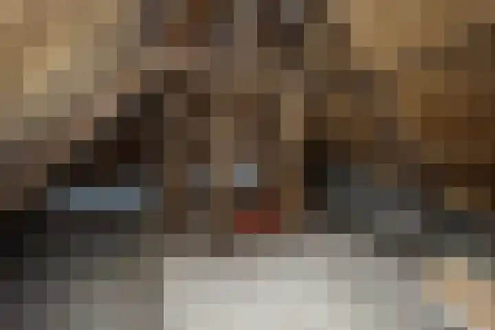 Westvoorstraat 1 Dinteloord thumbnail 53