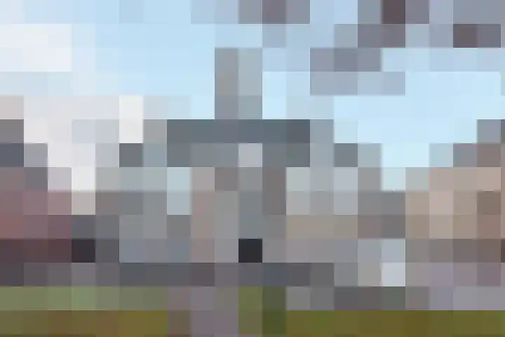 Westvoorstraat 1 Dinteloord thumbnail 58