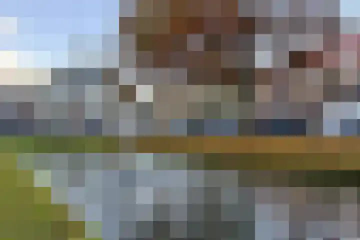Westvoorstraat 1 Dinteloord thumbnail 6
