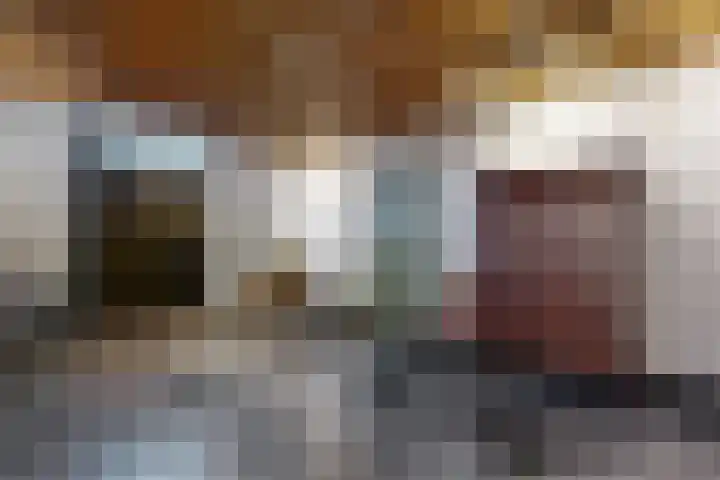 Westvoorstraat 1 Dinteloord thumbnail 7