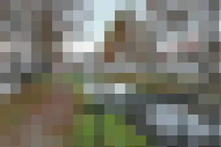 Westvoorstraat 1 Dinteloord thumbnail 70
