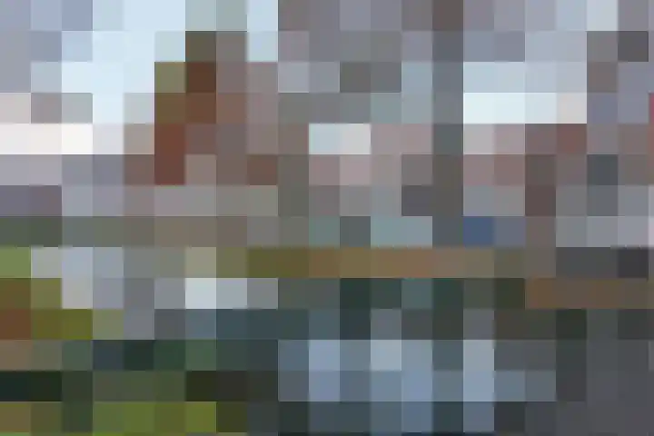 Westvoorstraat 1 Dinteloord thumbnail 71