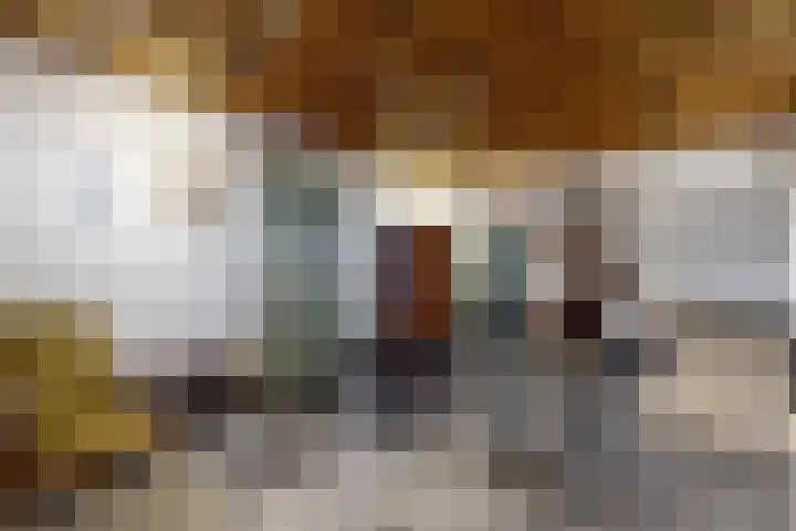 Westvoorstraat 1 Dinteloord thumbnail 8