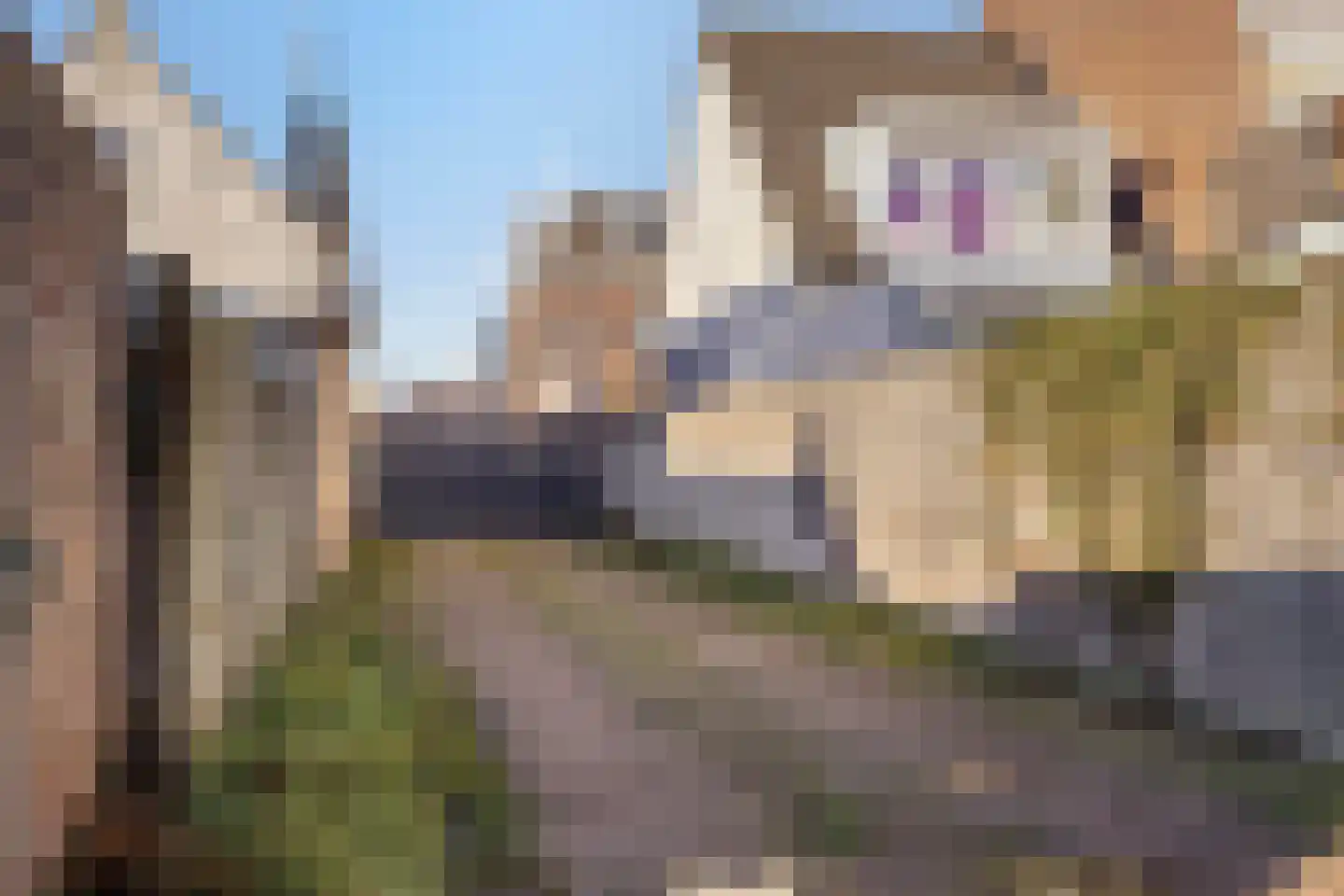 Westvoorstraat 16 Dinteloord thumbnail 15