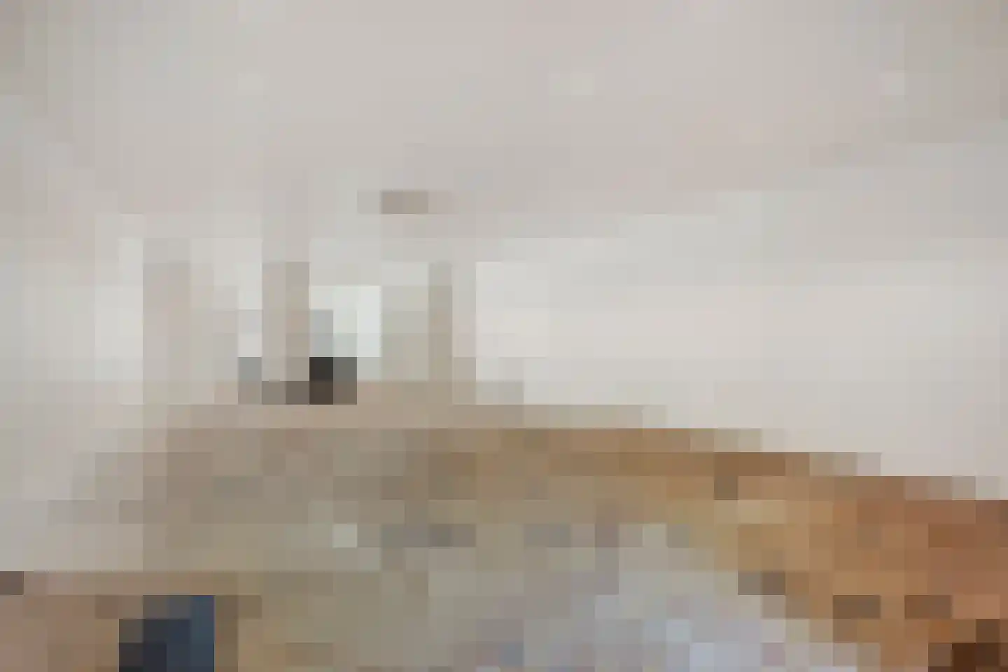 Westvoorstraat 16 Dinteloord thumbnail 9