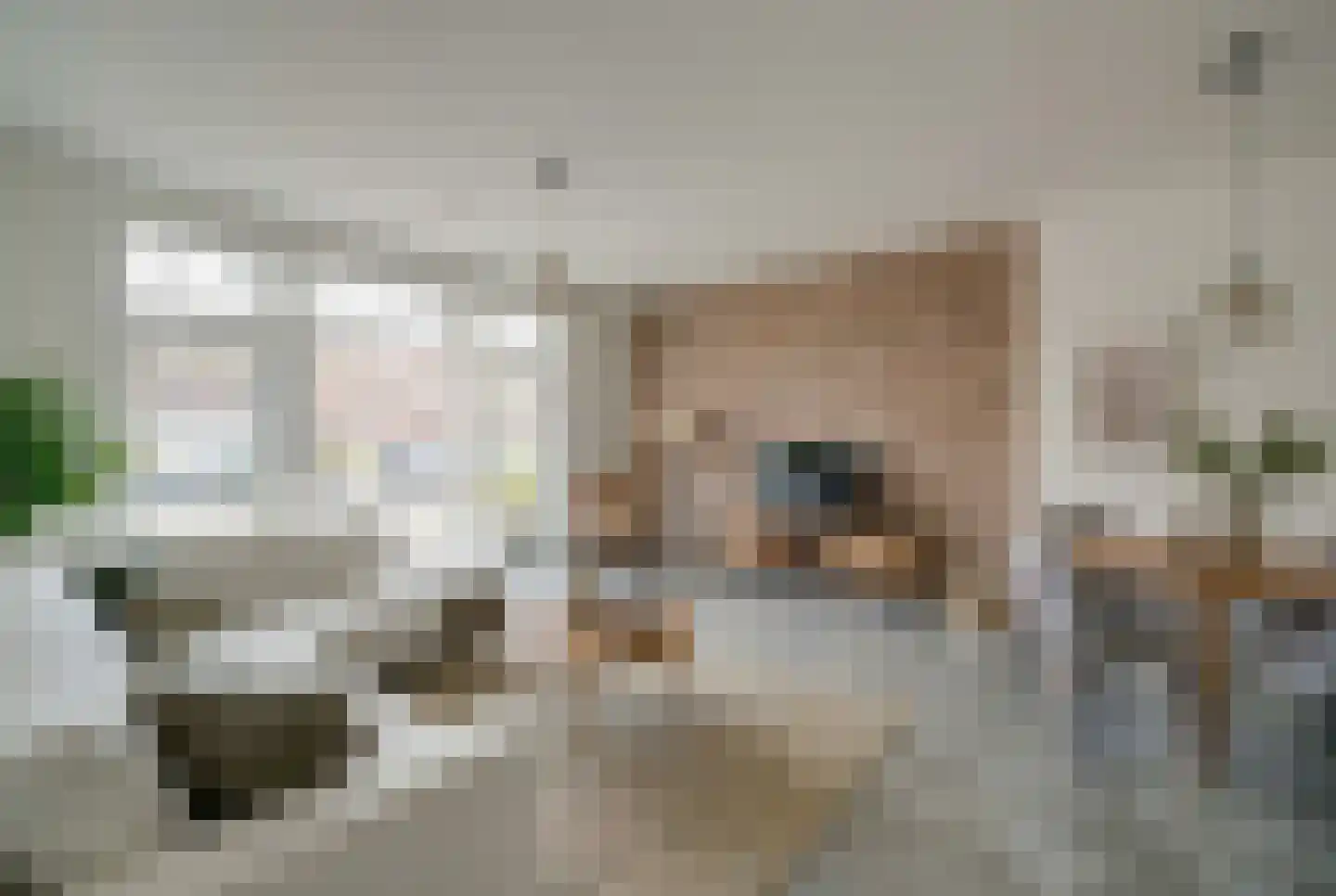 Westvoorstraat 22 A Dinteloord thumbnail 5