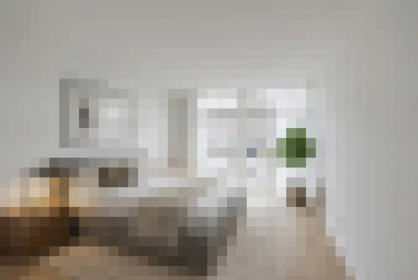 Westvoorstraat 22 A Dinteloord thumbnail 8