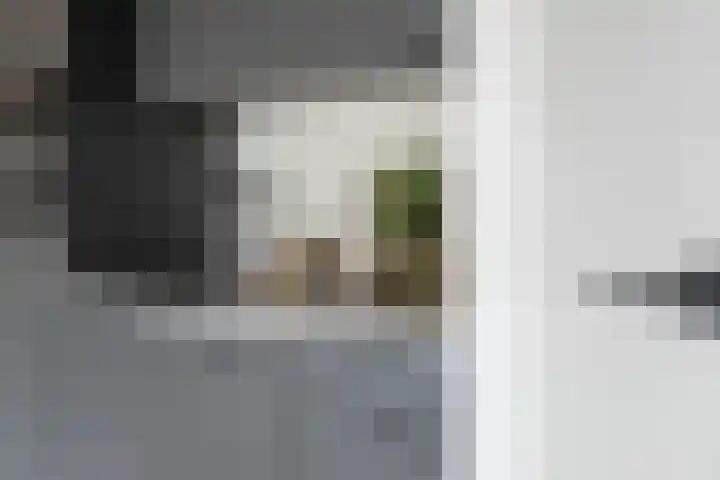 Westwagenstraat 14 j Gorinchem thumbnail 4