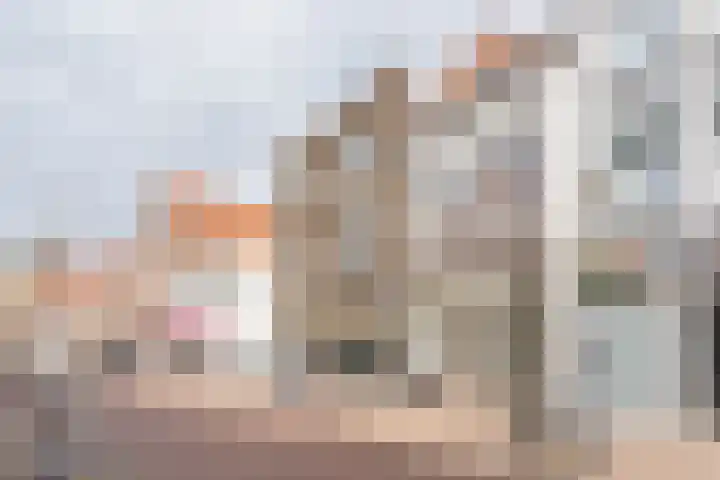 Westwagenstraat 18 Gorinchem thumbnail 11