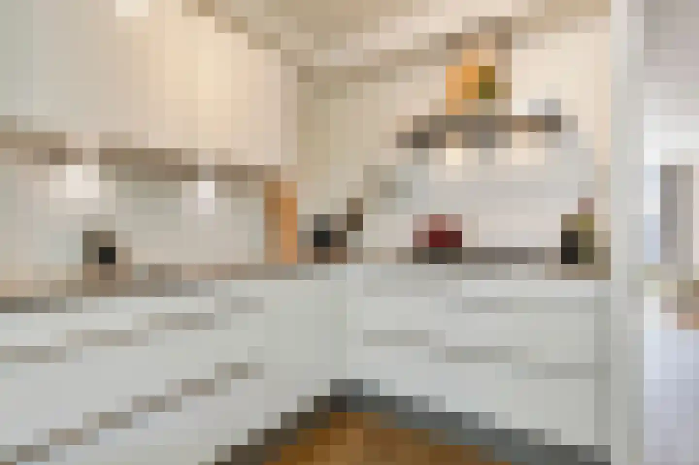 Westwal 13 's-Hertogenbosch thumbnail 11