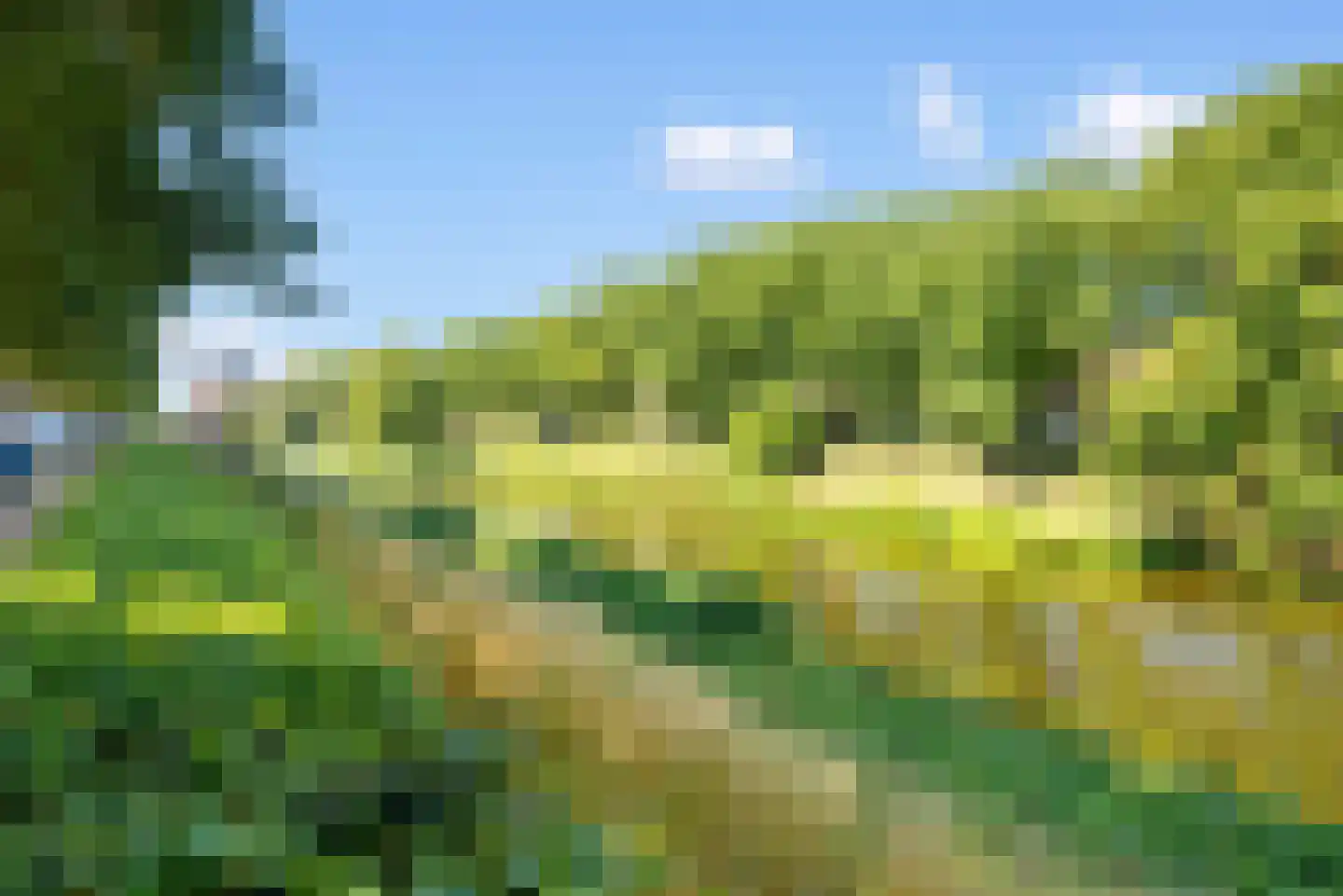 Westwal 13 's-Hertogenbosch thumbnail 35