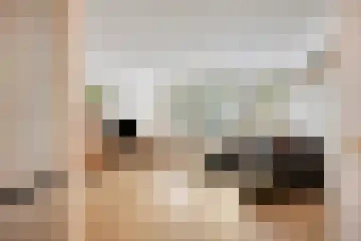 Westwal 14 's-Hertogenbosch thumbnail 14