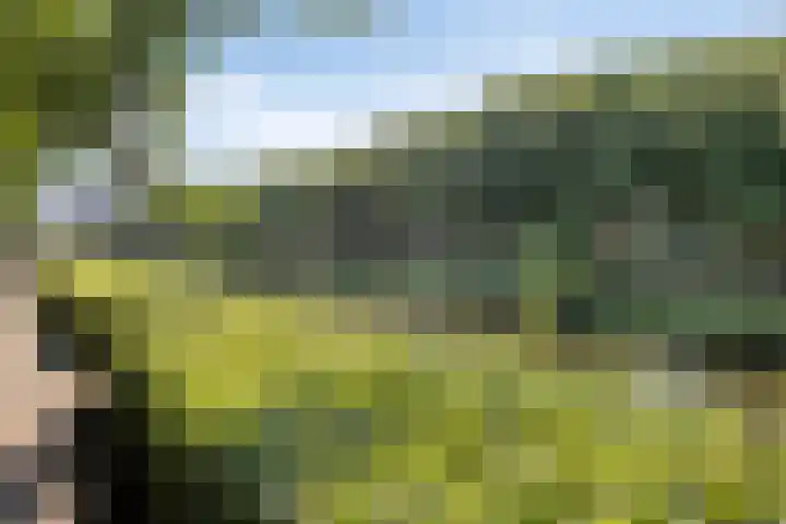 Westwal 14 's-Hertogenbosch thumbnail 27