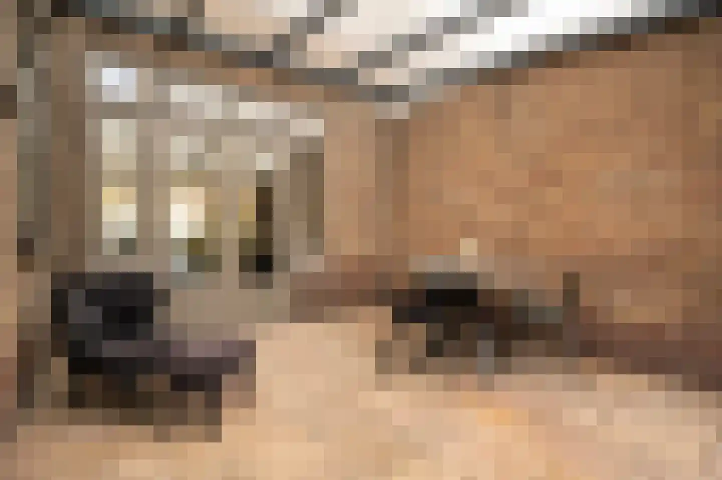 Westwal 25 Leerdam thumbnail 38