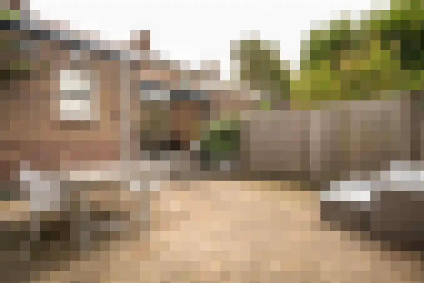 Westwal 25 Leerdam thumbnail 40