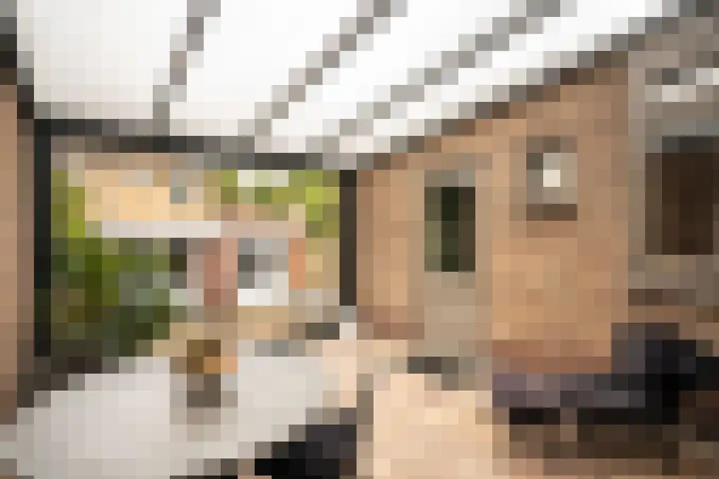 Westwal 25 Leerdam thumbnail 6