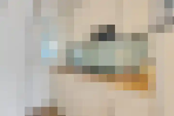 Westwal 34 's-Hertogenbosch thumbnail 14