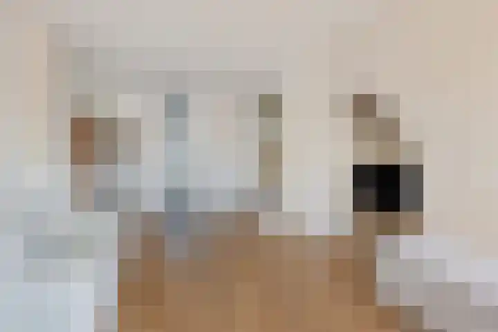 Westwal 34 's-Hertogenbosch thumbnail 4