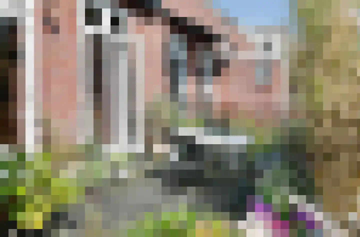 Westwal 48 H 's-Hertogenbosch thumbnail 23