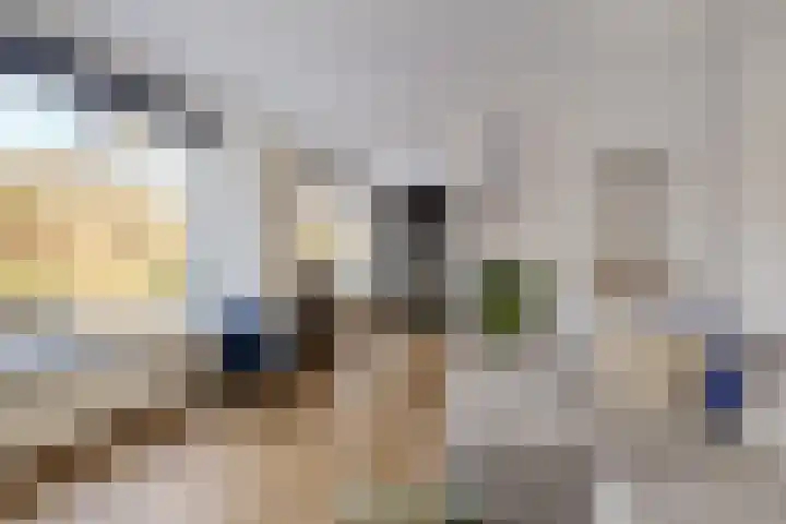 Westwal 55 's-Hertogenbosch thumbnail 5