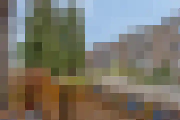 Westwal 56 's-Hertogenbosch thumbnail 13