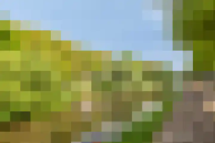 Westwal 56 's-Hertogenbosch thumbnail 22