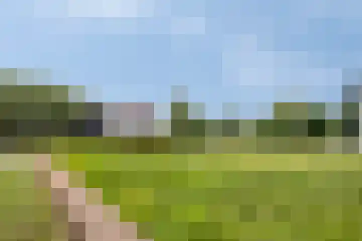 Westwal 56 's-Hertogenbosch thumbnail 23