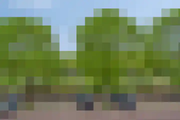 Westwal 56 's-Hertogenbosch thumbnail 6