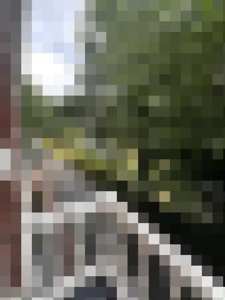 Westwal 91 Goes thumbnail 28