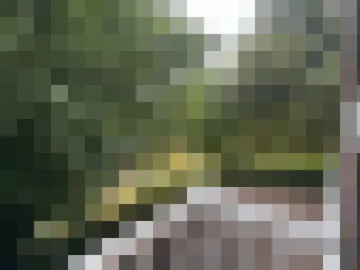 Westwal 91 Goes thumbnail 29