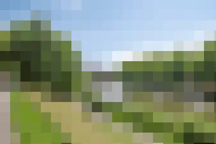 Westwal 91 Goes thumbnail 30