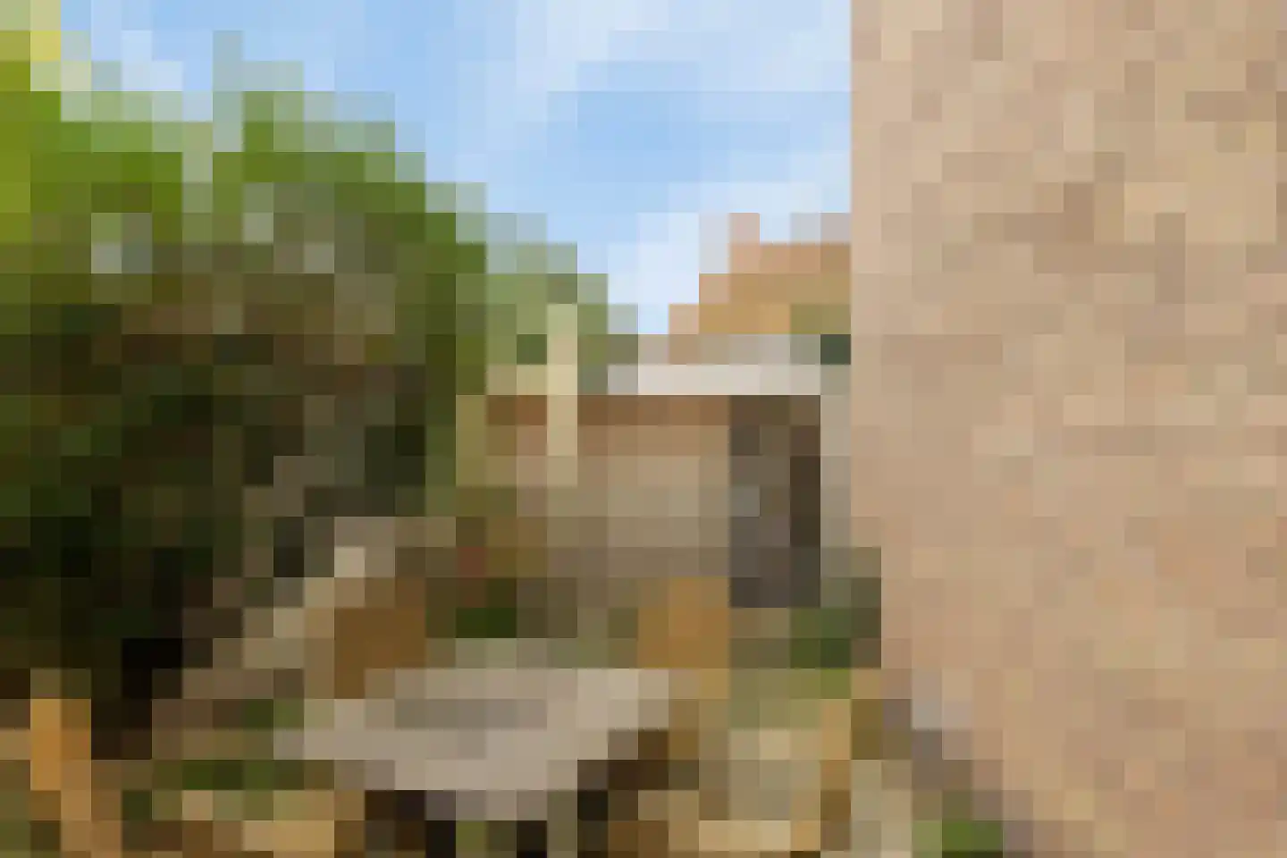 Westweg 15 Domburg thumbnail 17