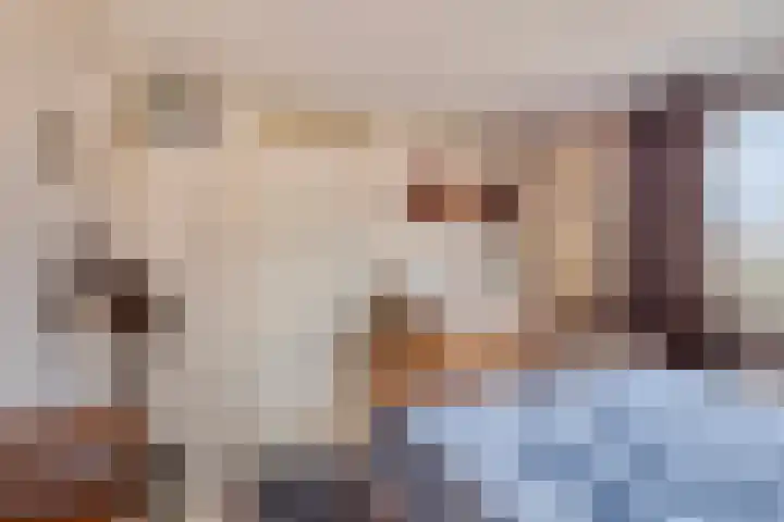 Westwiek 10 Etten-Leur thumbnail 17