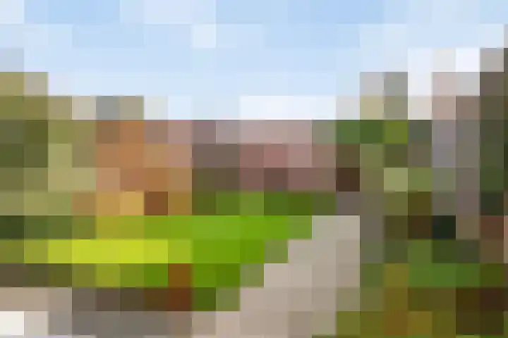 Westwiek 10 Etten-Leur thumbnail 25
