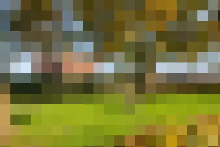 Westwiek 10 Etten-Leur thumbnail 29