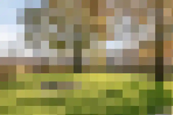 Westwiek 10 Etten-Leur thumbnail 30